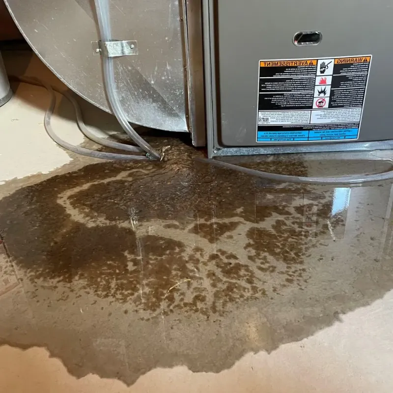 Pipe Burst and Leak Restoration in Mapleton, UT